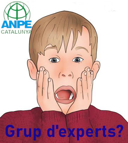 grup-experts