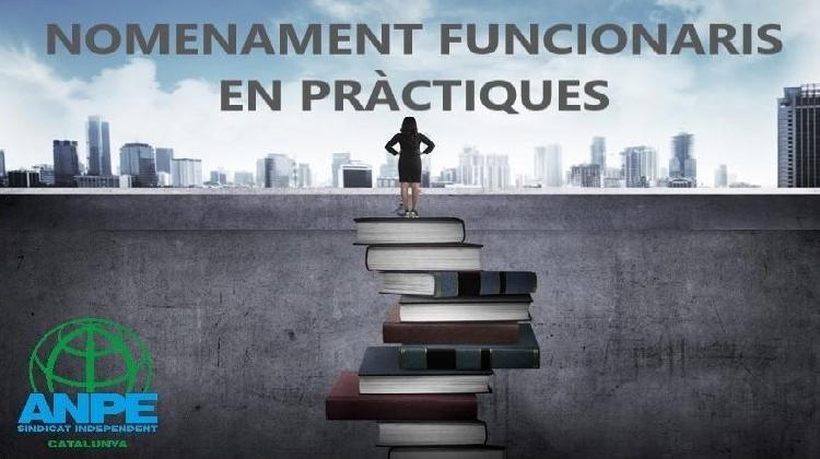 nomenament-funcionaris-practiques